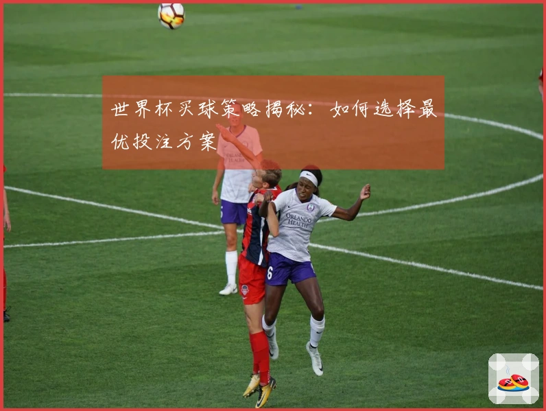 世界杯买球策略揭秘：如何选择最优投注方案