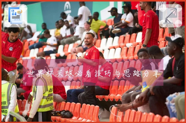 世界杯买球必看技巧与思路分享