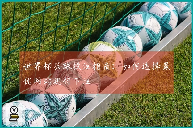 世界杯买球投注指南：如何选择最优网站进行下注