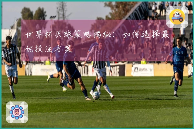 世界杯买球策略揭秘：如何选择最优投注方案