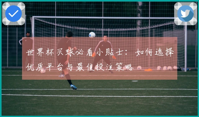世界杯买球必看小贴士：如何选择优质平台与最佳投注策略