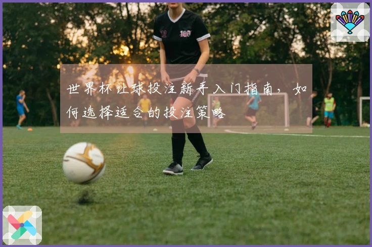 世界杯让球投注新手入门指南，如何选择适合的投注策略
