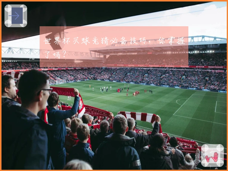 世界杯买球竞猜必备技巧，你掌握了吗？
