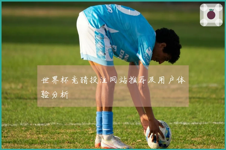 世界杯竞猜投注网站推荐及用户体验分析