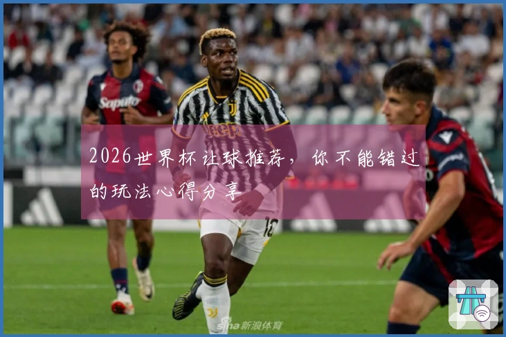 2026世界杯让球推荐，你不能错过的玩法心得分享