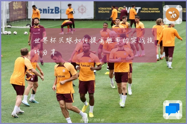 世界杯买球如何提高胜率的实战技巧分享