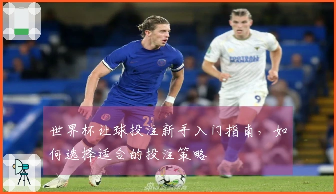 世界杯让球投注新手入门指南，如何选择适合的投注策略