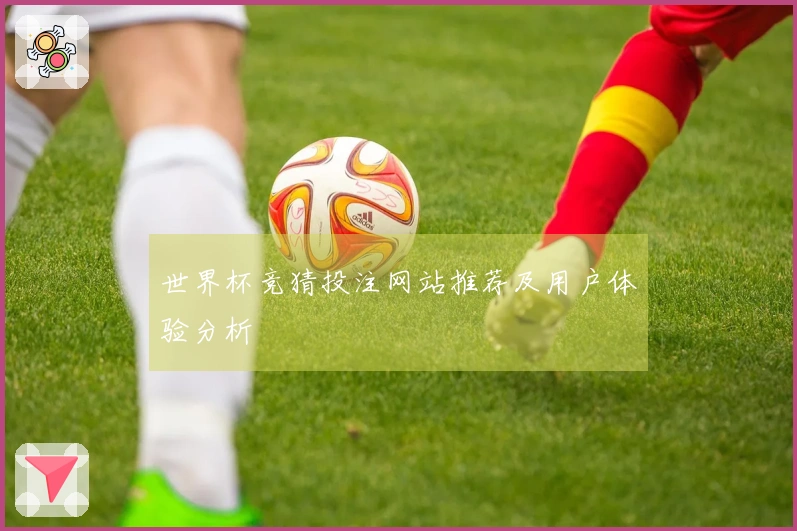 世界杯竞猜投注网站推荐及用户体验分析