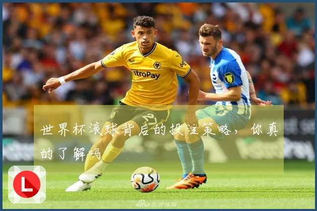 世界杯滚球背后的投注策略，你真的了解吗