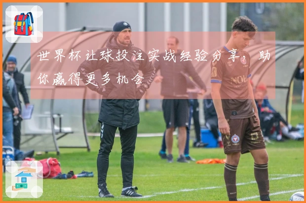 世界杯让球投注实战经验分享，助你赢得更多机会