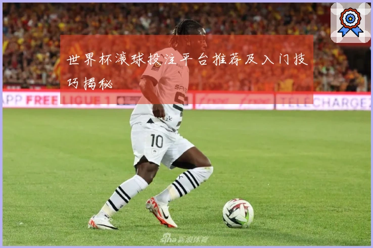 世界杯滚球投注平台推荐及入门技巧揭秘