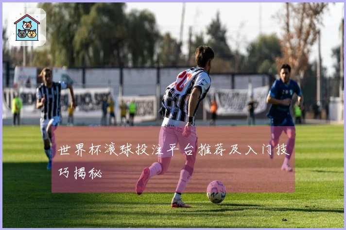 世界杯滚球投注平台推荐及入门技巧揭秘