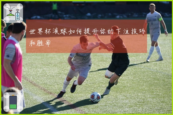世界杯滚球如何提升你的下注技巧和胜率