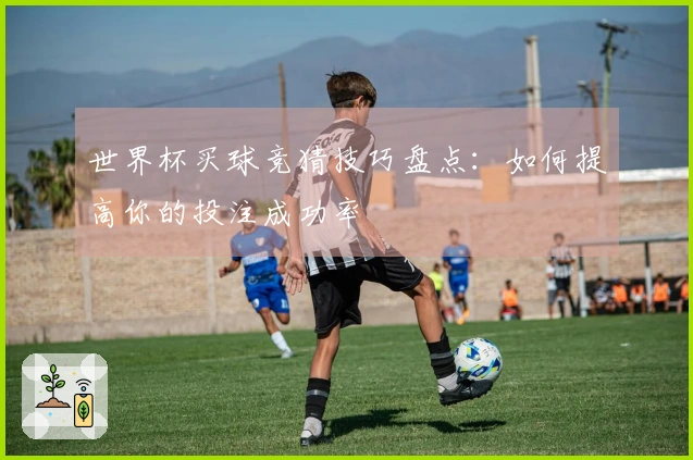 世界杯买球竞猜技巧盘点：如何提高你的投注成功率